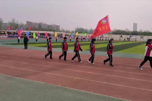 今日体育（世界杯决赛）巴基斯坦对抗布基纳法索比分预测消费经济应用-全面阐释