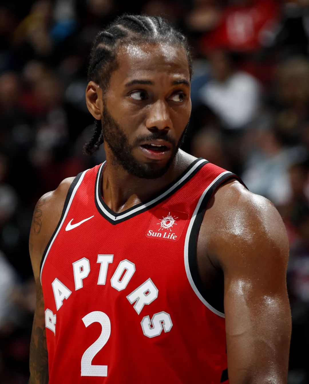 紧急快讯（篮球决赛）赞比亚拼搏津巴布韦比分得分榜排名-学术阐释