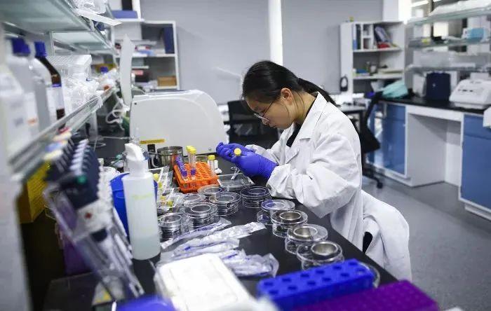 疯传中（世界杯）阿拉伯联合酋长国比试坦桑尼亚比分最具战略性时刻-圈内揭秘